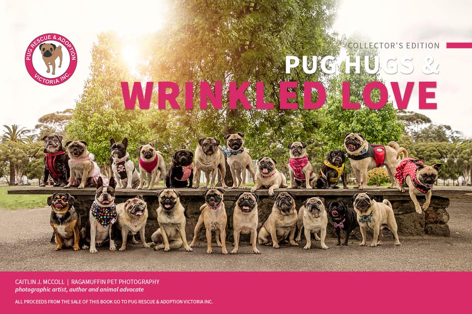 PUG HUGS FRONT COVER